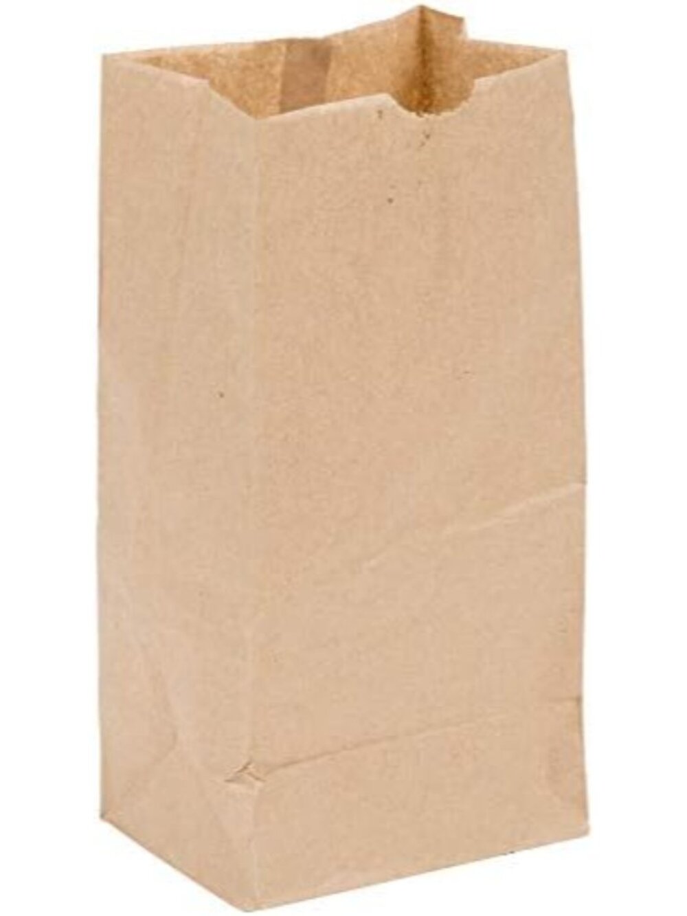 Brown Bag 4-100 4lb Brown Paper Lunch Bags - Pack of 100ct